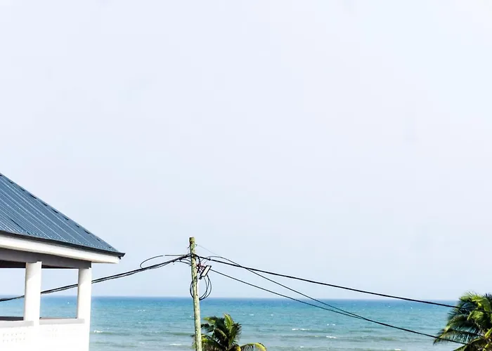 Moven Paradise